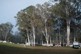 Typical Queensland free campsite