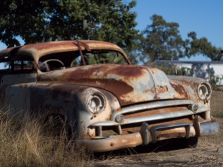 Farmers abandon old vehicles, like many places. They don't rust much, and nothing grows on them. Forty years later, they're still there.